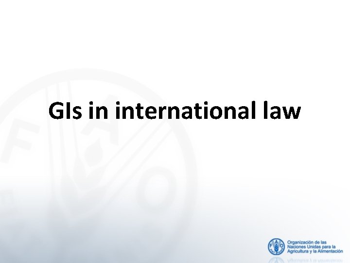 GIs in international law 