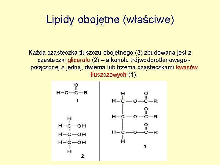Lipidy obojętne (właściwe) Każda cząsteczka tłuszczu obojętnego (3) zbudowana jest z cząsteczki glicerolu (2)
