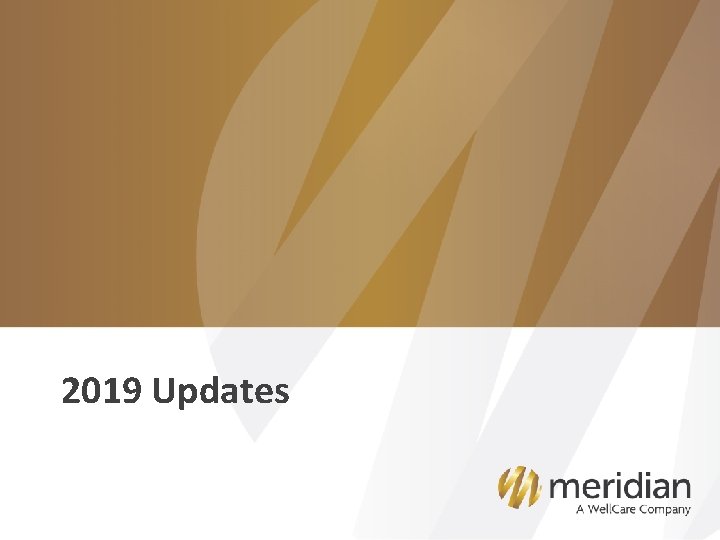 2019 Updates 