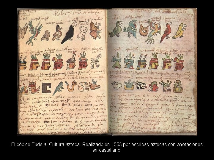 El códice Tudela. Cultura azteca. Realizado en 1553 por escribas aztecas con anotaciones en