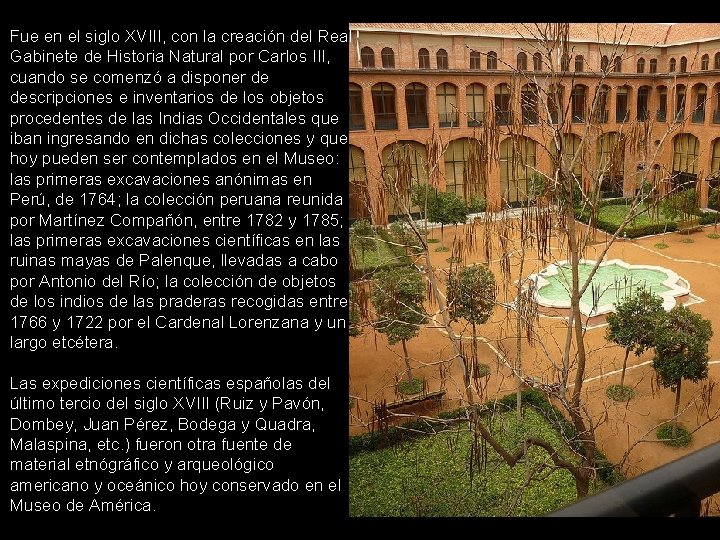 Fue en el siglo XVIII, con la creación del Real Gabinete de Historia Natural