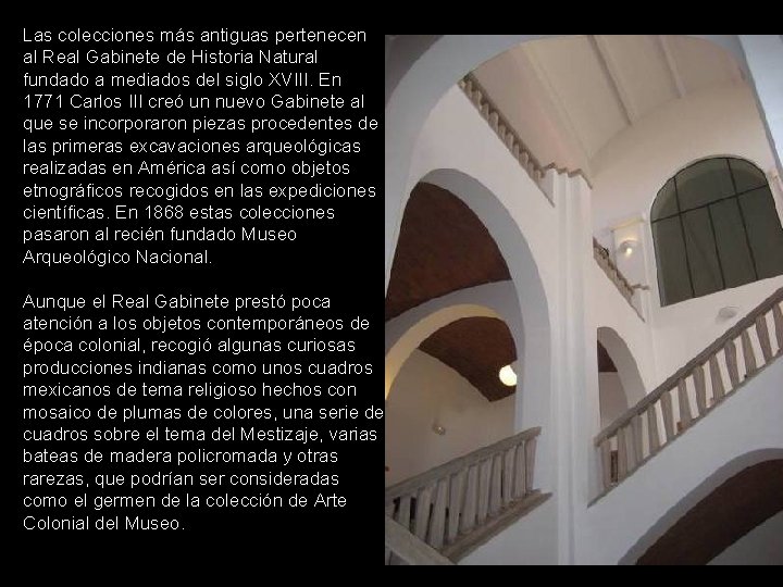 Las colecciones más antiguas pertenecen al Real Gabinete de Historia Natural fundado a mediados