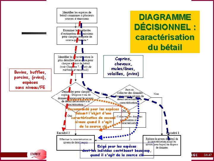 DIAGRAMME DÉCISIONNEL : caractérisation du bétail Bovins, buffles, porcins, (ovins), espèces sans niveau/FE Caprins,