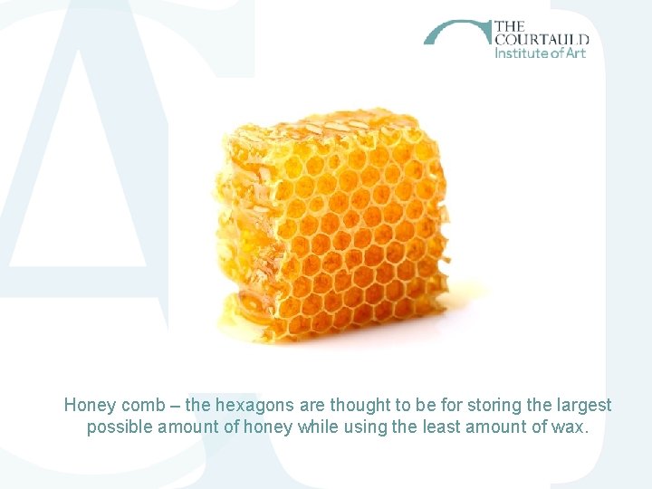 Honey comb – the hexagons are thought to be for storing the largest possible Honey comb – the hexagons are thought to be for storing the largest possible