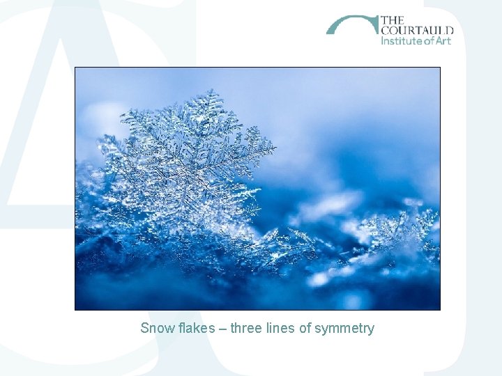 Snow flakes – three lines of symmetry Snow flakes – three lines of symmetry