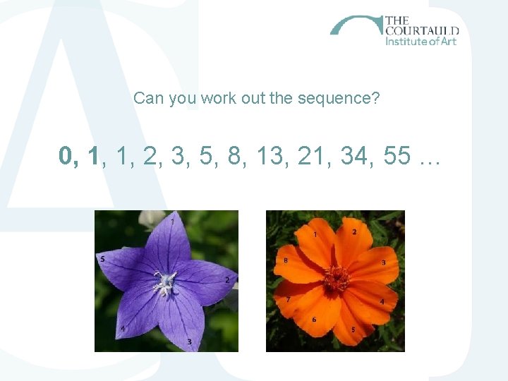 Can you work out the sequence? 0, 1, 1, 2, 3, 5, 8, 13, Can you work out the sequence? 0, 1, 1, 2, 3, 5, 8, 13,