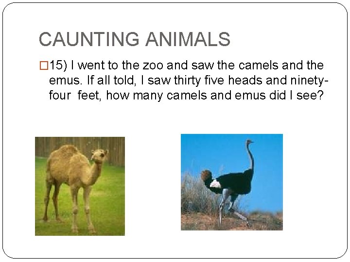 CAUNTING ANIMALS � 15) I went to the zoo and saw the camels and