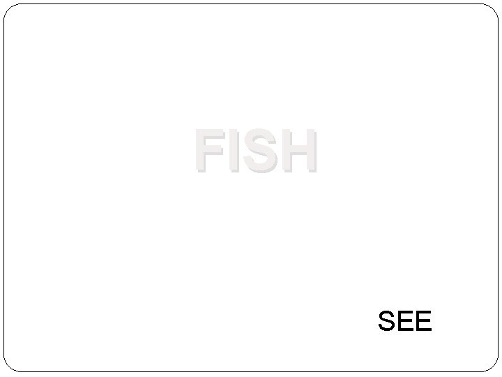 FISH SEE 