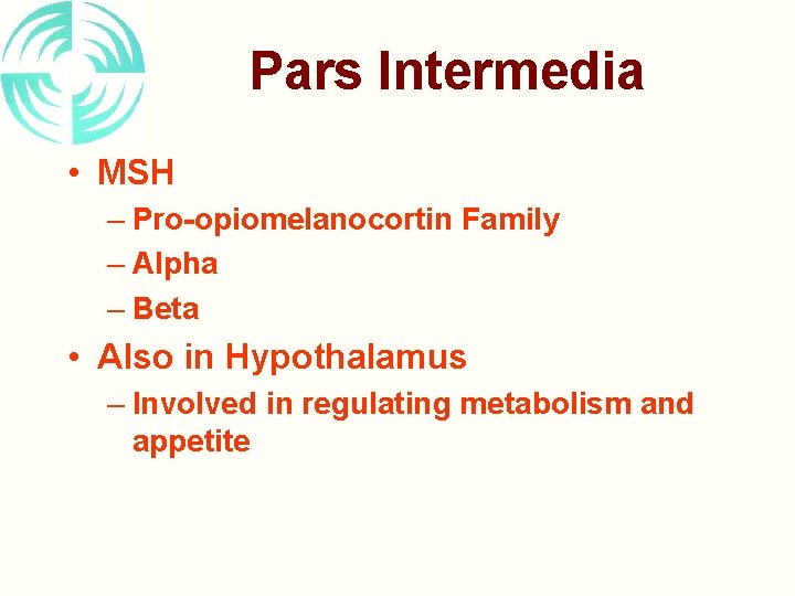 Pars Intermedia • MSH – Pro-opiomelanocortin Family – Alpha – Beta • Also in