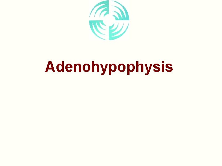 Adenohypophysis 