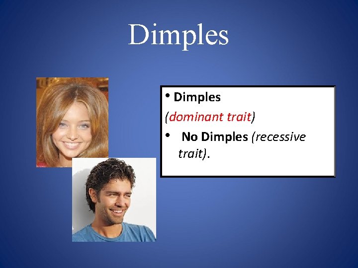 Dimples • Dimples (dominant trait) • No Dimples (recessive trait). 