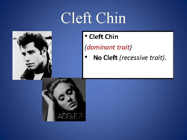 Cleft Chin • Cleft Chin (dominant trait) • No Cleft (recessive trait). 