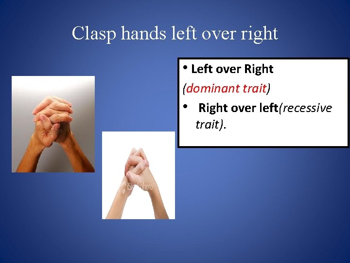 Clasp hands left over right • Left over Right (dominant trait) • Right over