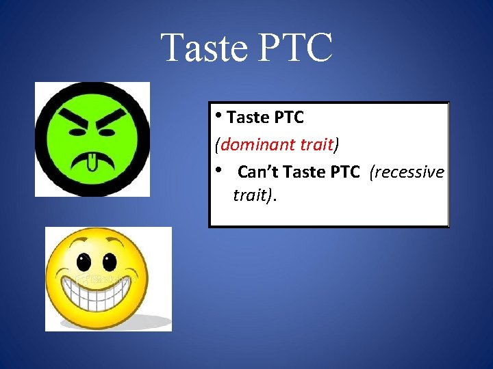 Taste PTC • Taste PTC (dominant trait) • Can’t Taste PTC (recessive trait). 