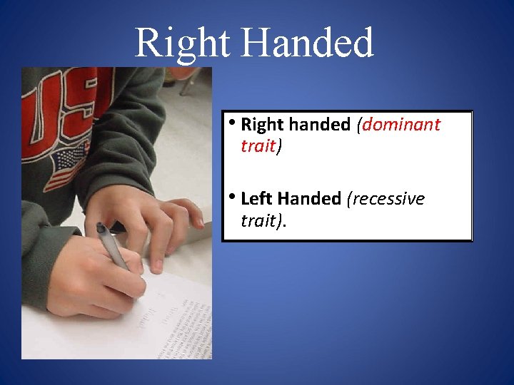 Right Handed • Right handed (dominant trait) • Left Handed (recessive trait). 