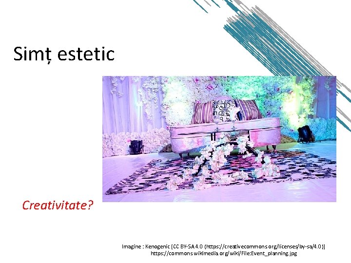 Simț estetic Creativitate? Imagine : Kenogenic [CC BY-SA 4. 0 (https: //creativecommons. org/licenses/by-sa/4. 0)]