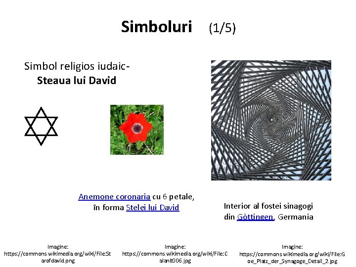 Simboluri (1/5) Simbol religios iudaic. Steaua lui David Anemone coronaria cu 6 petale, în