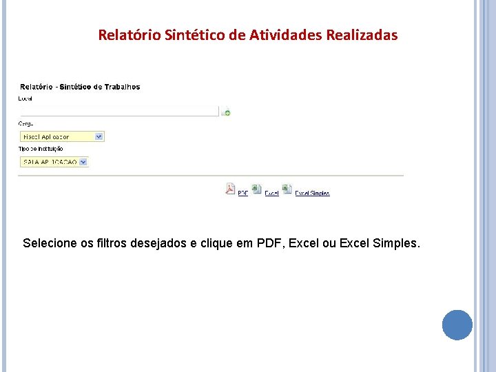 Relatório Sintético de Atividades Realizadas Selecione os filtros desejados e clique em PDF, Excel