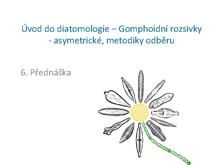 Úvod do diatomologie – Gomphoidní rozsivky - asymetrické, metodiky odběru 6. Přednáška 