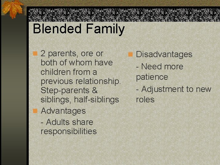 Blended Family n 2 parents, ore or both of whom have children from a