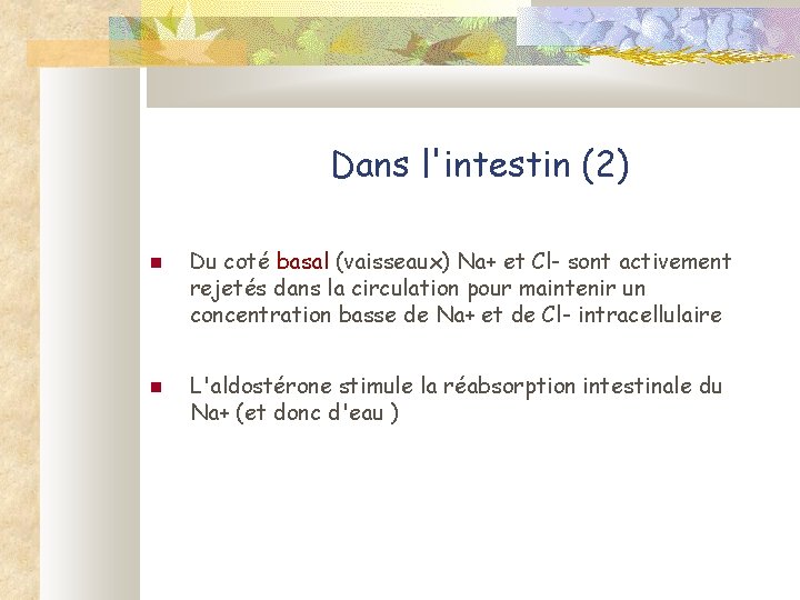 Dans l'intestin (2) Du coté basal (vaisseaux) Na+ et Cl- sont activement rejetés dans