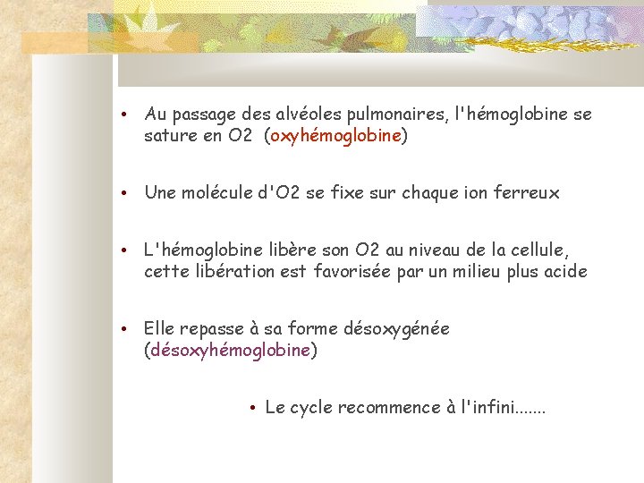  • Au passage des alvéoles pulmonaires, l'hémoglobine se sature en O 2 (oxyhémoglobine)