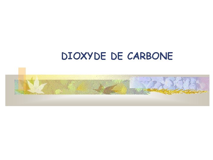 DIOXYDE DE CARBONE 