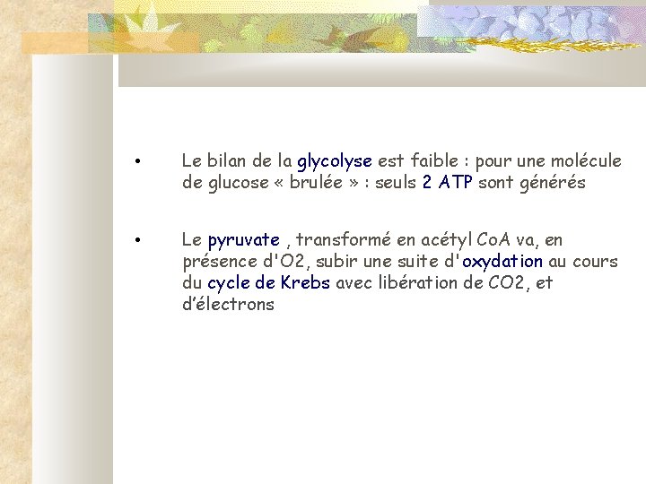  • Le bilan de la glycolyse est faible : pour une molécule de