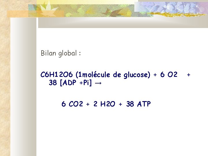 Bilan global : C 6 H 12 O 6 (1 molécule de glucose) +