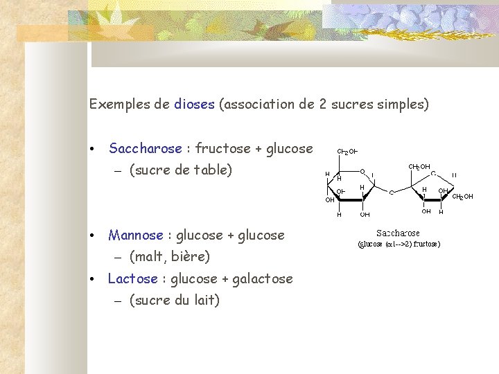 Exemples de dioses (association de 2 sucres simples) • Saccharose : fructose + glucose