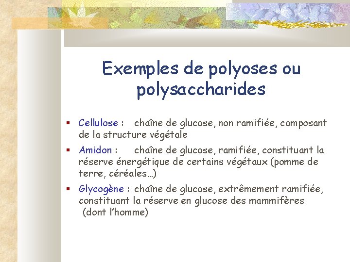 Exemples de polyoses ou polysaccharides § Cellulose : chaîne de glucose, non ramifiée, composant