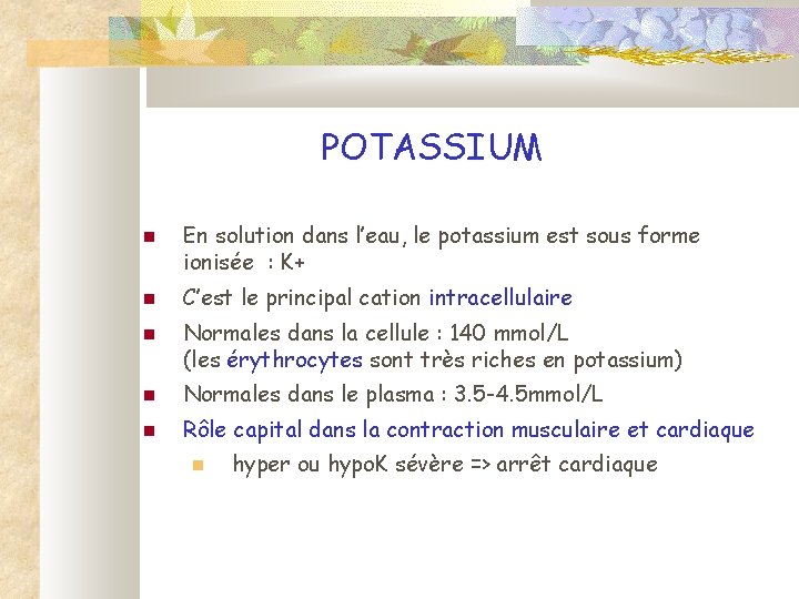 POTASSIUM En solution dans l’eau, le potassium est sous forme ionisée : K+ C’est