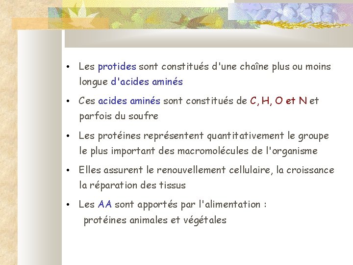  • Les protides sont constitués d'une chaîne plus ou moins longue d'acides aminés