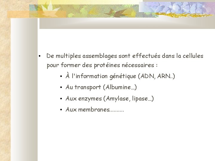  • De multiples assemblages sont effectués dans la cellules pour former des protéines