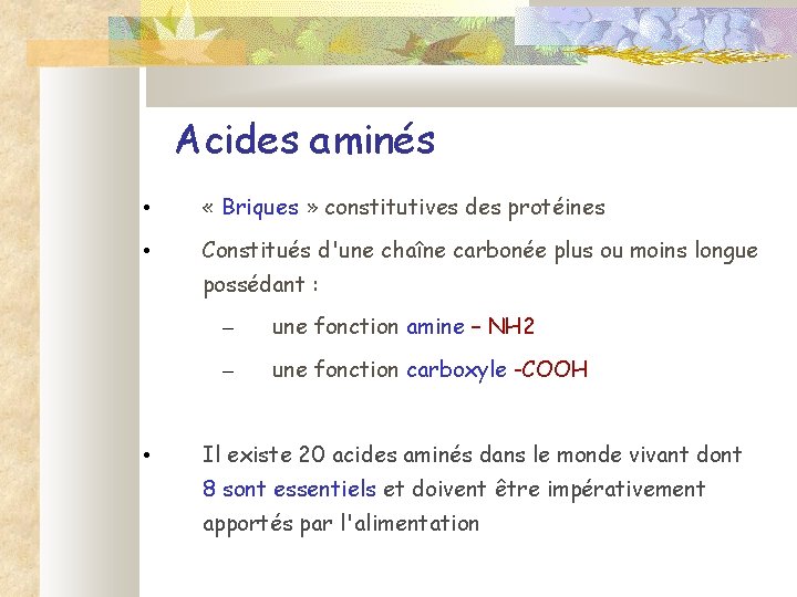 Acides aminés • « Briques » constitutives des protéines • Constitués d'une chaîne carbonée