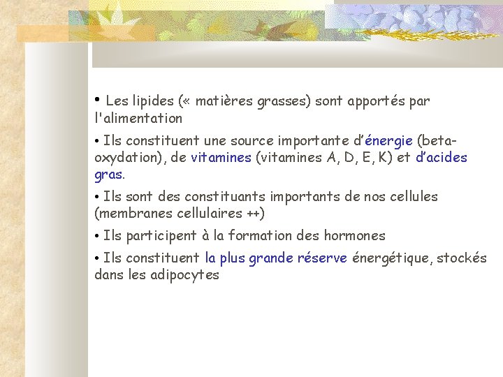  • Les lipides ( « matières grasses) sont apportés par l'alimentation • Ils