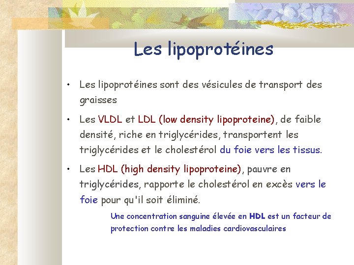 Les lipoprotéines • Les lipoprotéines sont des vésicules de transport des graisses • Les
