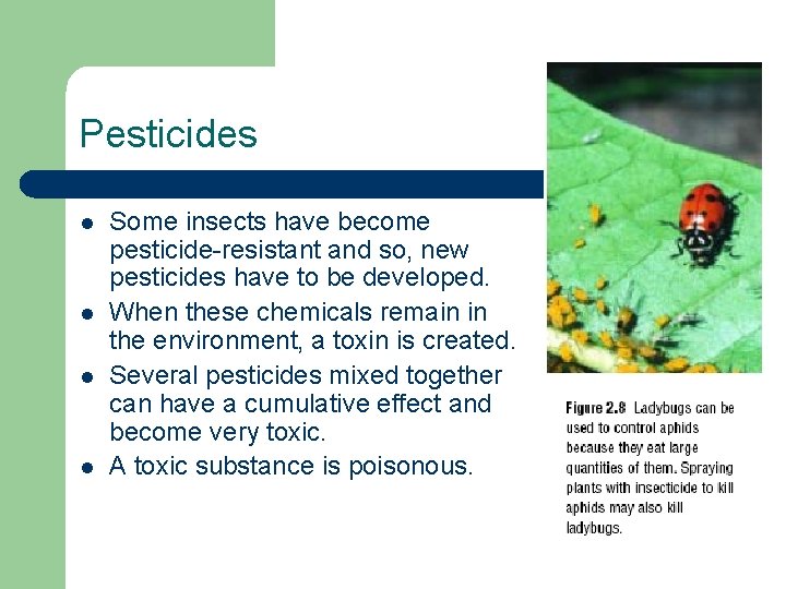 Pesticides l l Some insects have become pesticide-resistant and so, new pesticides have to