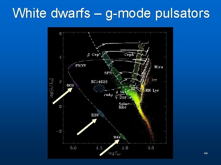 White dwarfs – g-mode pulsators 44 