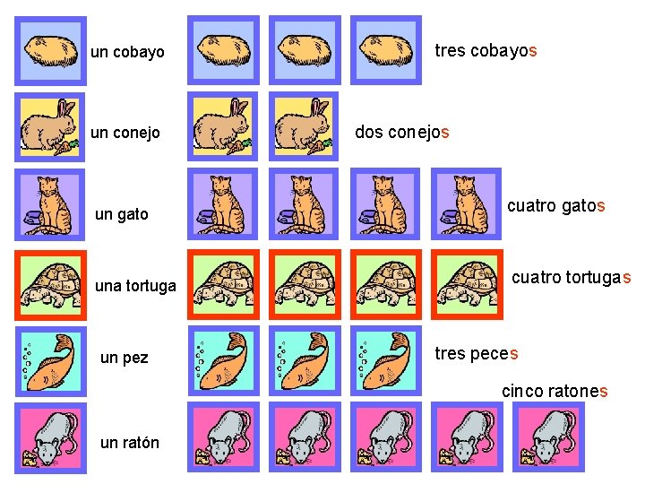 un cobayo un conejo un gato una tortuga un pez tres cobayos dos conejos