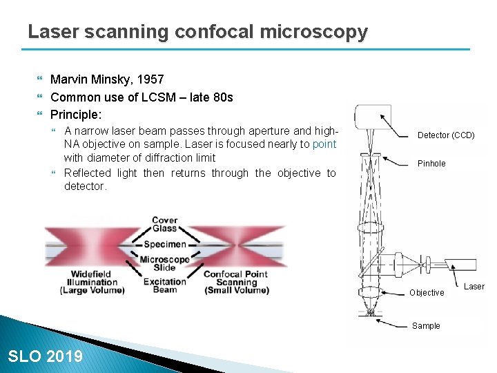 Laser scanning confocal microscopy Marvin Minsky, 1957 Common use of LCSM – late 80