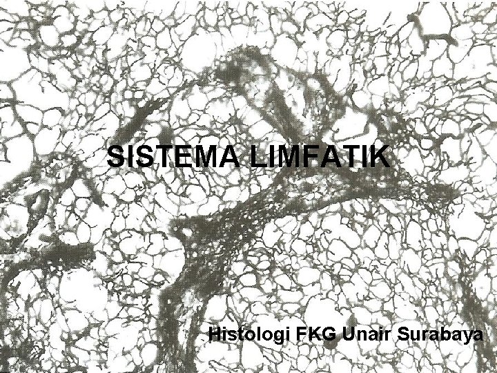 SISTEMA LIMFATIK Histologi FKG Unair Surabaya 