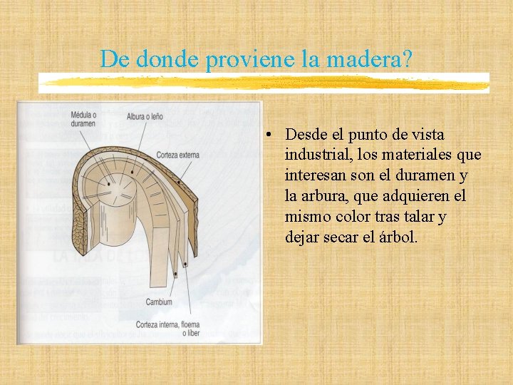 De donde proviene la madera? • Desde el punto de vista industrial, los materiales