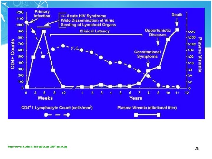 http: //uhavax. hartford. edu/bugl/images/HIV-graph. jpg 28 
