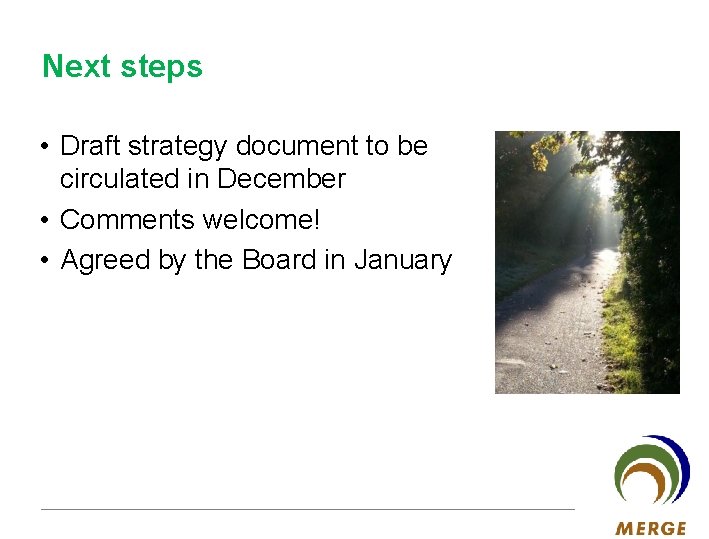 Next steps • Draft strategy document to be circulated in December • Comments welcome!