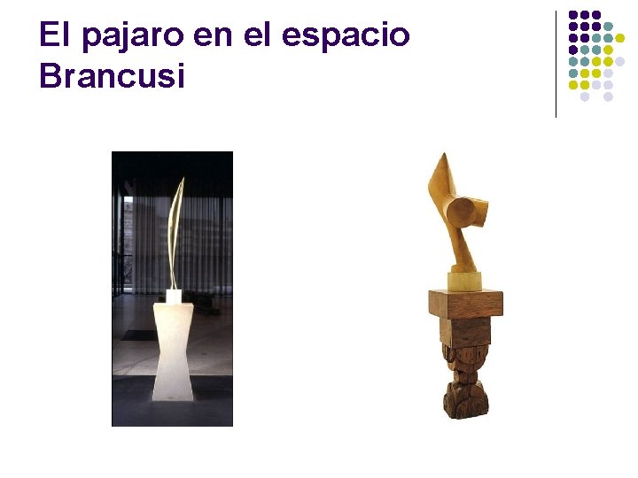 El pajaro en el espacio Brancusi 