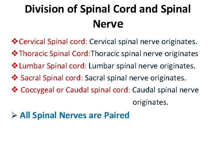 Division of Spinal Cord and Spinal Nerve v. Cervical Spinal cord: Cervical spinal nerve