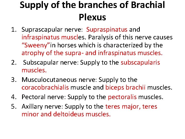 Supply of the branches of Brachial Plexus 1. Suprascapular nerve: Supraspinatus and infraspinatus muscles.