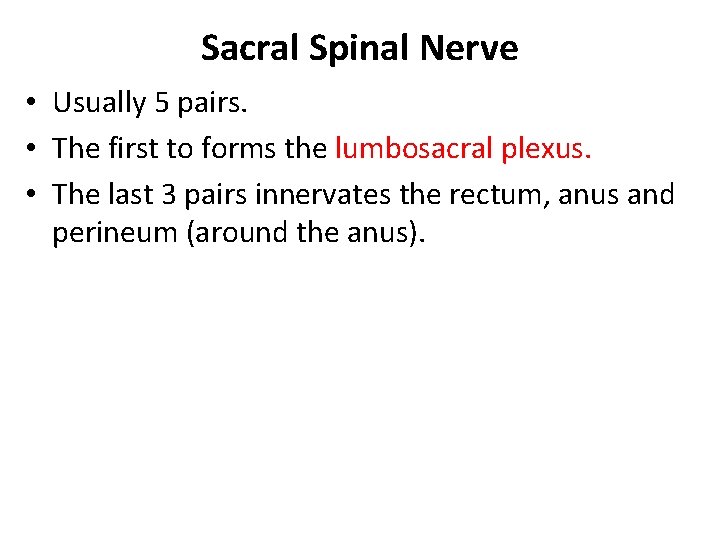 Sacral Spinal Nerve • Usually 5 pairs. • The first to forms the lumbosacral