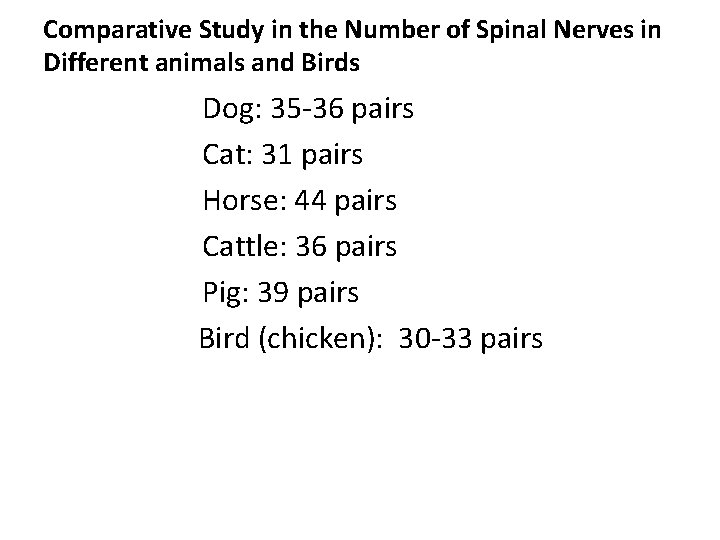Comparative Study in the Number of Spinal Nerves in Different animals and Birds Dog: